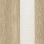 Акация Лорка / Romeo 01