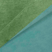 Teddy 336 / Teddy 917