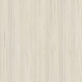 Сосна Скандинавия